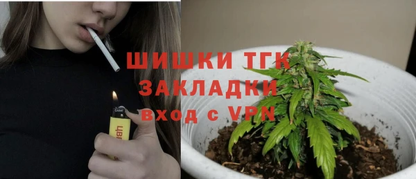 сатива Аркадак