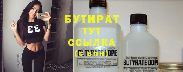сатива Аркадак