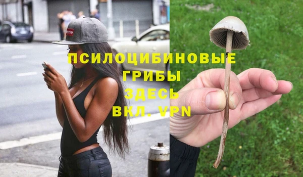 меф Армянск
