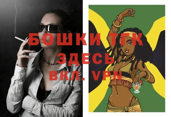 сатива Аркадак