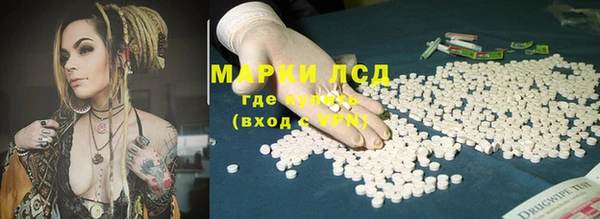 сатива Аркадак